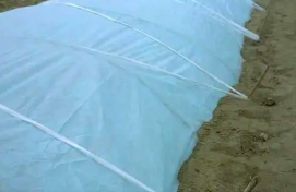 介绍安徽农用无纺布的掩盖方法