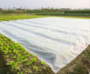 安徽农用无纺布市场是否会有大的发展前景？